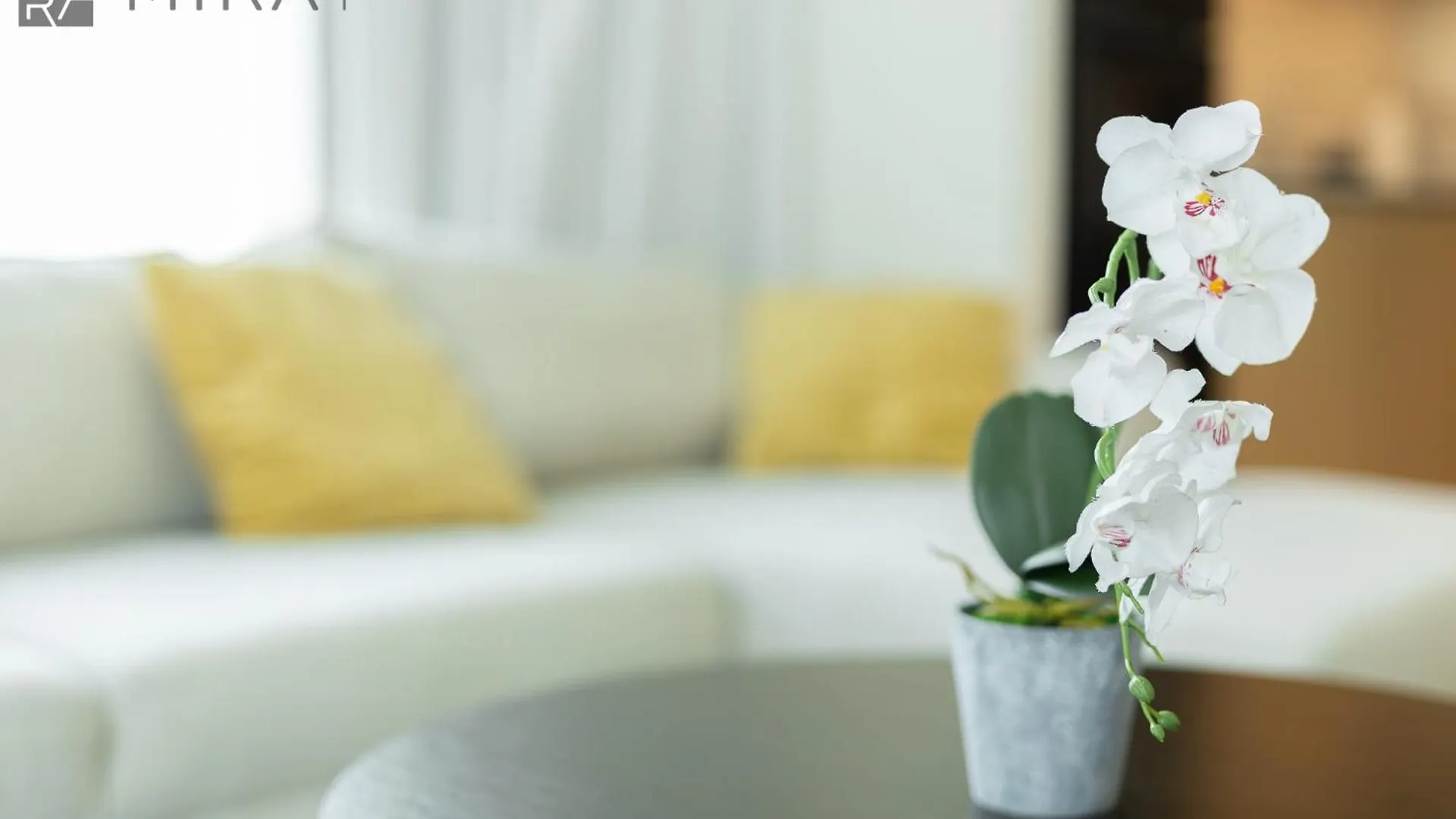 Apartment Mira Holiday Homes - Cosy 1Bhk In The Heart Of Dubai Creek Harbour